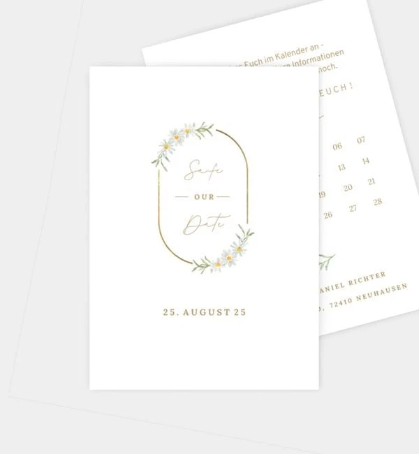 Gänseblümchen 1 Gänseblümchen