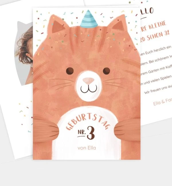 Confetti Cat 1 Confetti Cat