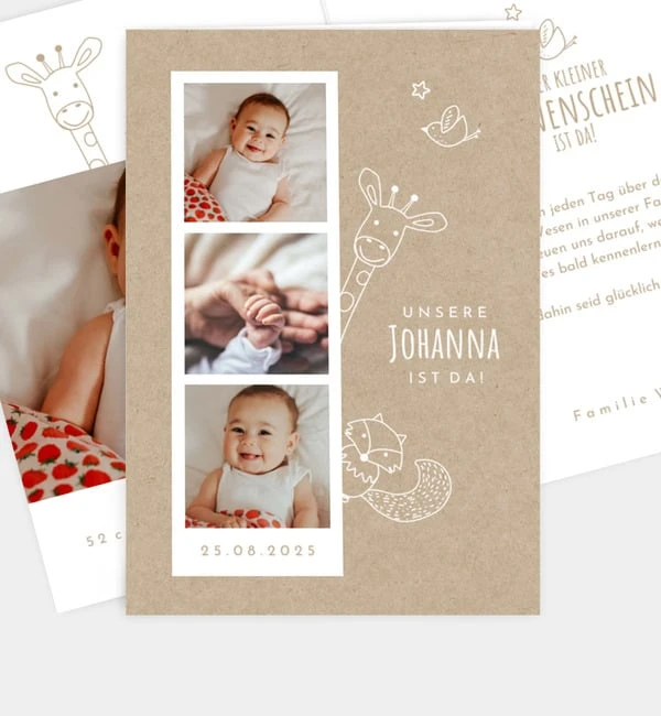 Little Animals 1 Little Animals