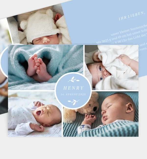 Petite Fleur 1 Petite Fleur